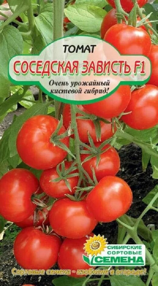 Сорта томатов соседская зависть. Томат соседская зависть f1. Томат соседская зависть семена. Томат кистевой f1. Сорт помидор соседская зависть.