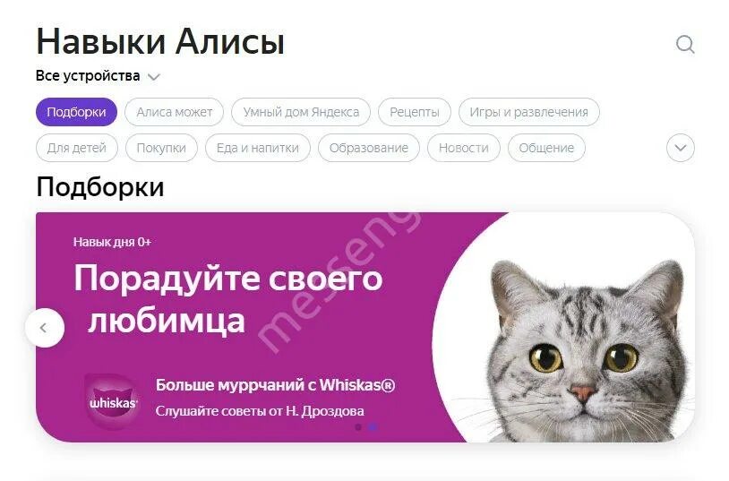 Как называется навык алисы. Функции голосовых помощников. Навыки алиса голосовой помощник. Навыки алисы лайт. Навыки алиса голосовой помощник.