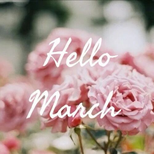 Pictures march. Привет март. Хеллоу март. Hello March картинки.