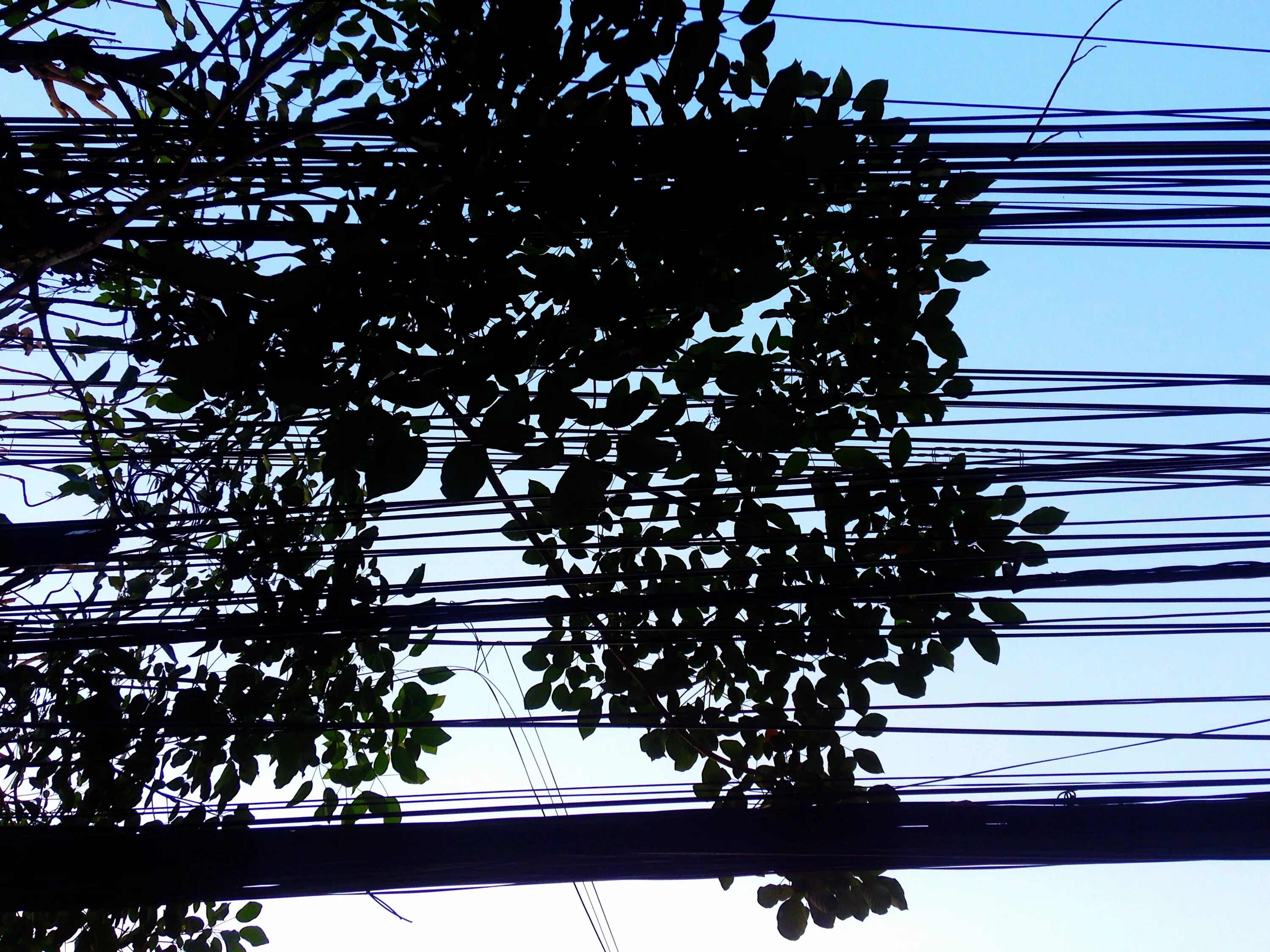 системный администратор. наблюдатель провода. свисающие провода. оптический кабель на столбе. наблюдатель провода.