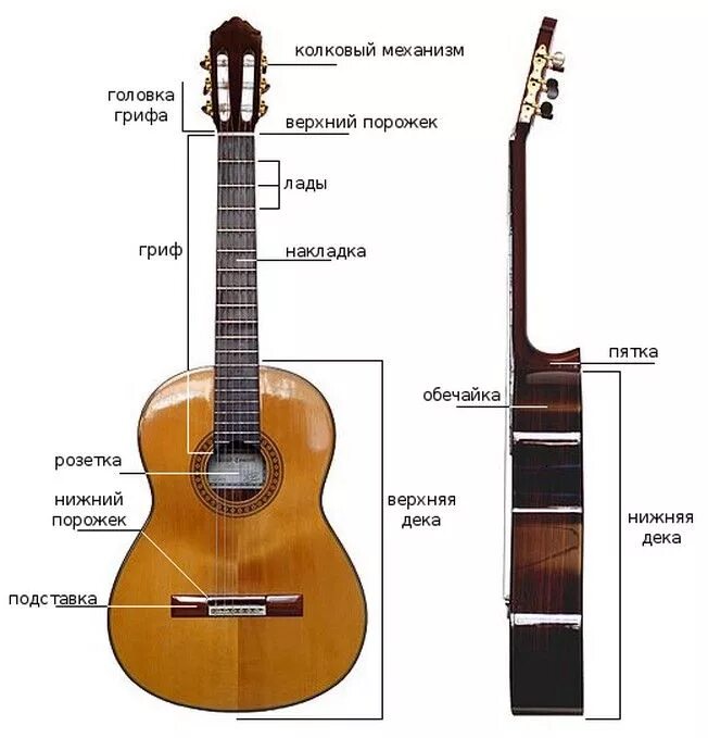 Строение гитары акустической 6 струнной. Конструкция гитары классической. Строение гитары 6-ти струнной классической. Строение гитары классической. Гитара акустическая названия