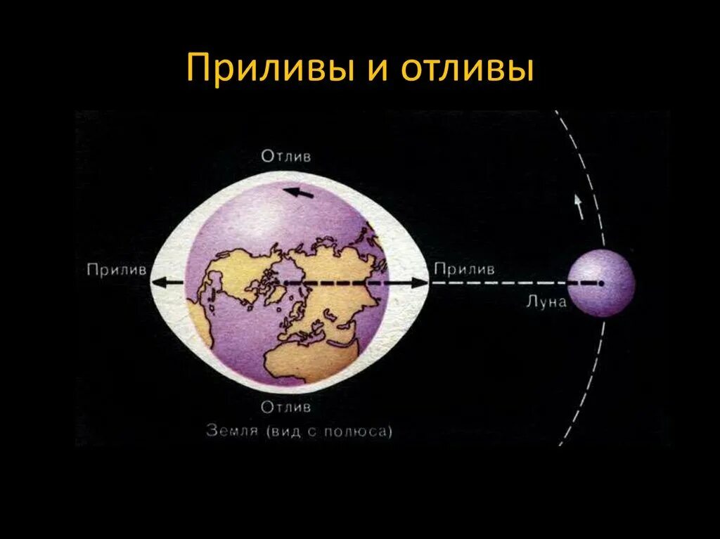 Притяжение луны вызывает. Земля Луна отлив прилив схема. Приливы и отливы влияние Луны. Схема приливов и отливов на земле. Приливы и отливы влияние Луны схема.