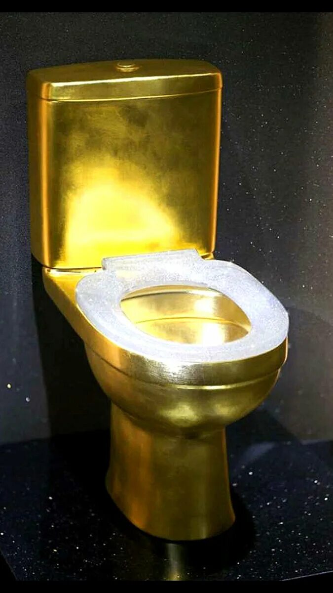 Gt golden toilet машина. Золотой унитаз с инкрустацией. Золотой писсуар. Унитаз под золото ts-8801. Позолоченный унитаз.