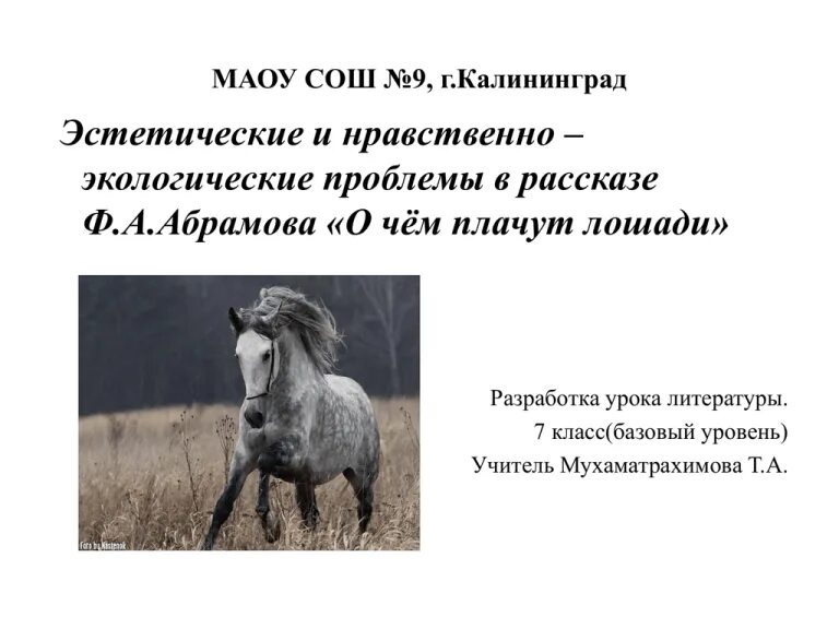 Какими чувствами проникнуты произведения абрамова. О чём плачут лошади. Абрамова о чем плачут лошади. О чем плачут лошади проблемы. Ф.Абрамов о чем плачут лошади.