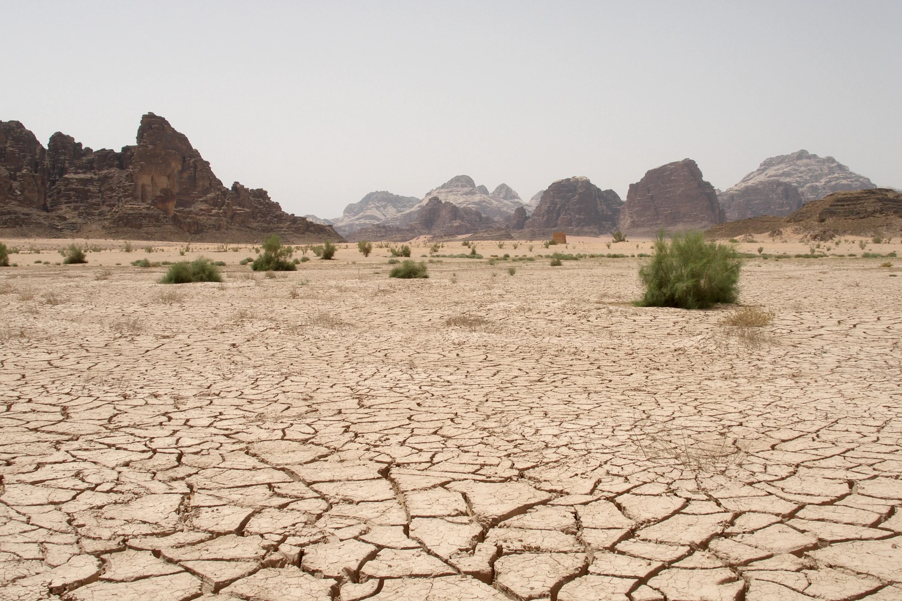Dry desert. O m desert dry. Пустыня панорама. Дюна геология. O m desert dry.