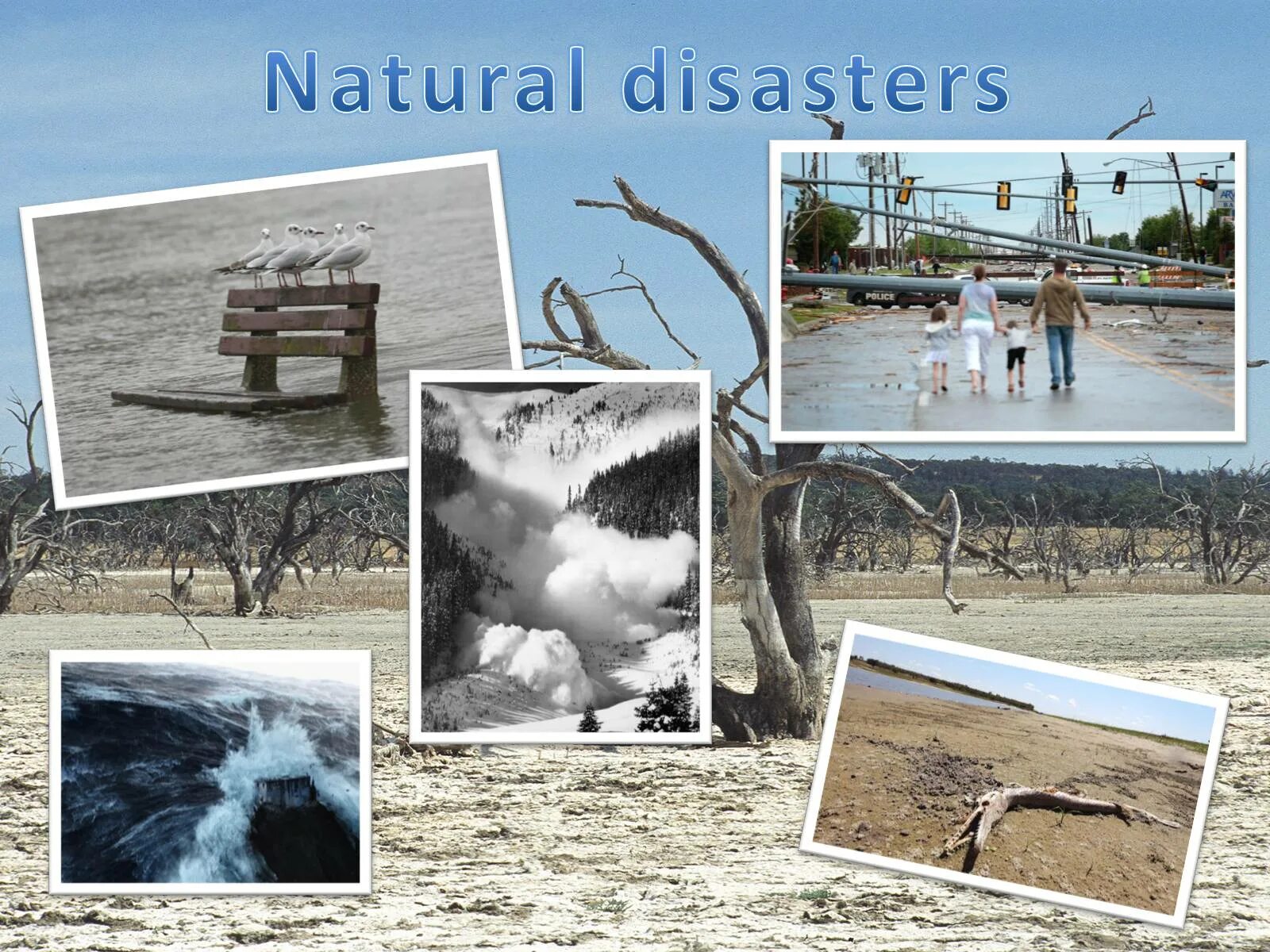 Стихийные бедствия коллаж. Natural Disaster slayd. Natural Disasters guess the picture. Natural disasters 7 grade