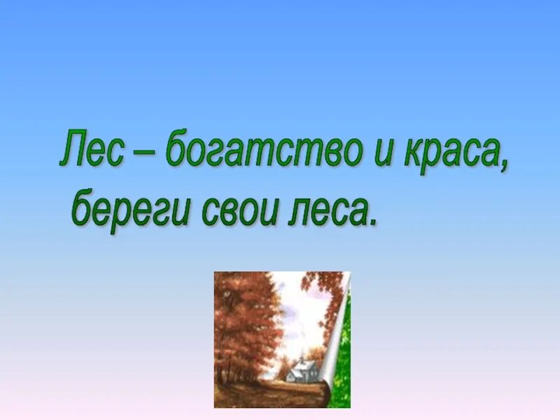 Как использовать богатство леса. Лес богатство и Краса береги свои леса. Лес богатство. Лес богатство нашей Родины. Лес-наше богатство презентация.