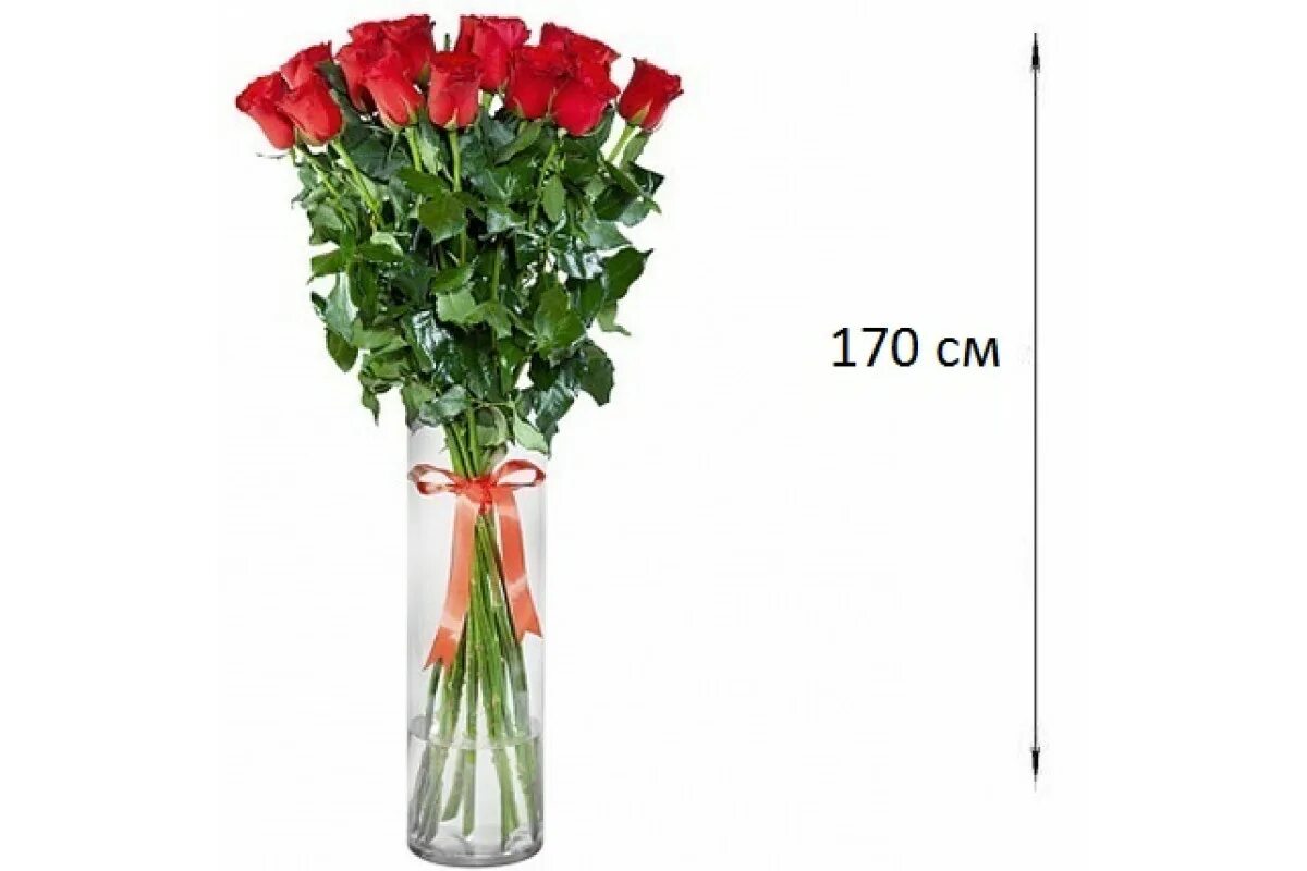 Сколько стоят цветы розы в вазе. Розы 180 см.