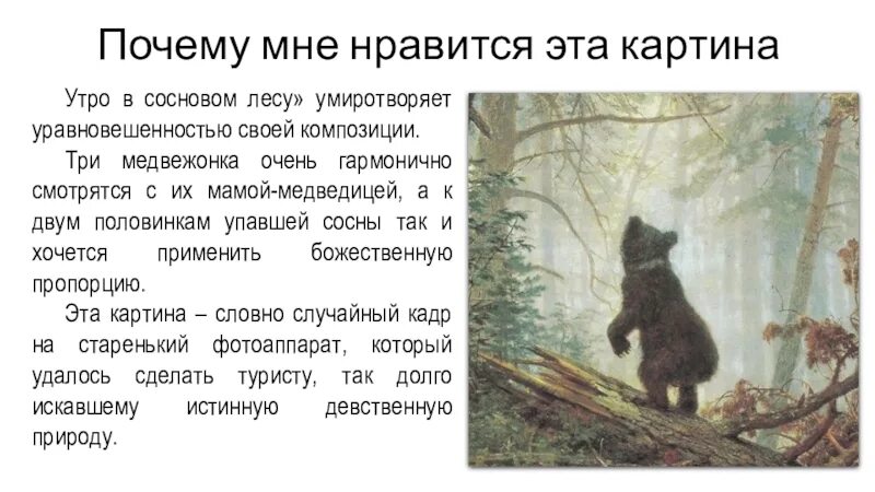 Описание картины утро в сосновом лесу 2. И. Шишкин, к. Савицкий. «Утро в Сосновом лесу». 1889 Г.. Описание картины Ивана Ивановича Шишкина утро в Сосновом лесу. Описание картина «утро в Сосновом лесу». И.И. Шишкин. 1889 Г..