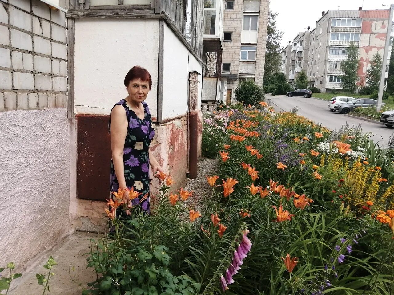 хозяйка цветущего дома 38. женщина убирается. кактус зацвел примета. чистота в доме. женщина создает уют в доме.