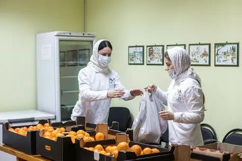 Начала собирать