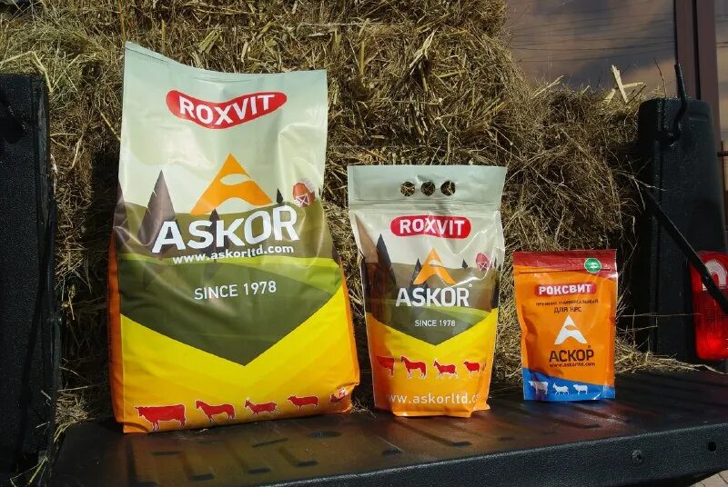 Askor roxvit для крс. Аскор роксвит премикс для крс. На 100 кг. Аскор для крс. Askor roxvit для крс.