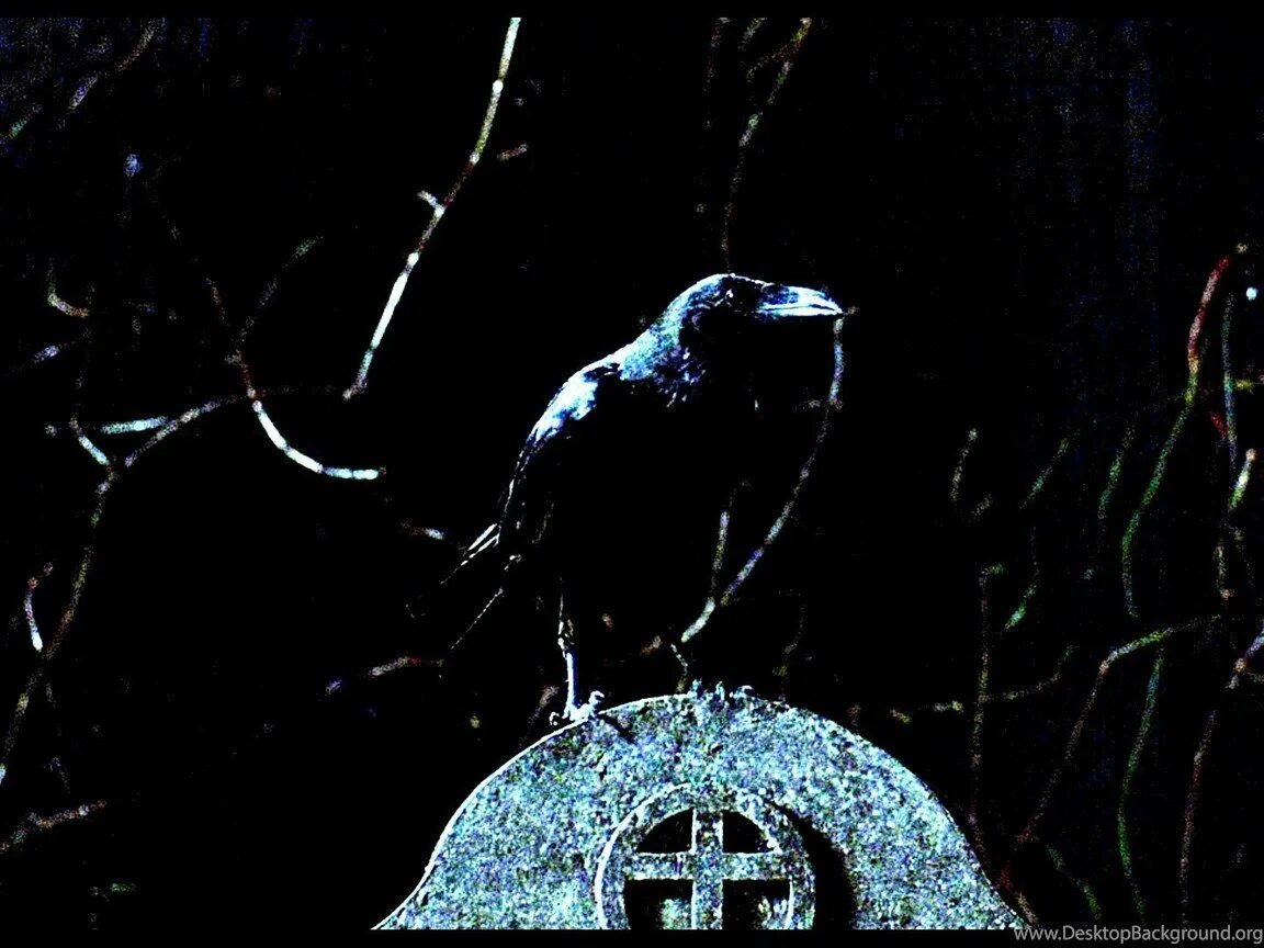 The Crow 1994. Брэндон ли ворон. "Dark Crow" VIXXSIN. Вороны в темноте. Ворон 2024 саундтрек