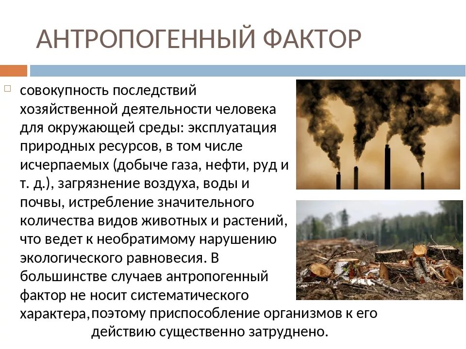 Факторы антропогенного воздействия на окружающую среду. Антропогенные факторы среды. Влияние антропогенных факторов. Влияние антропогенных факторов на окружающую среду. Воздействия антропогенных факторов на среду