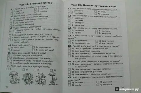 Тест грибы 3 класс окружающий мир плешаков