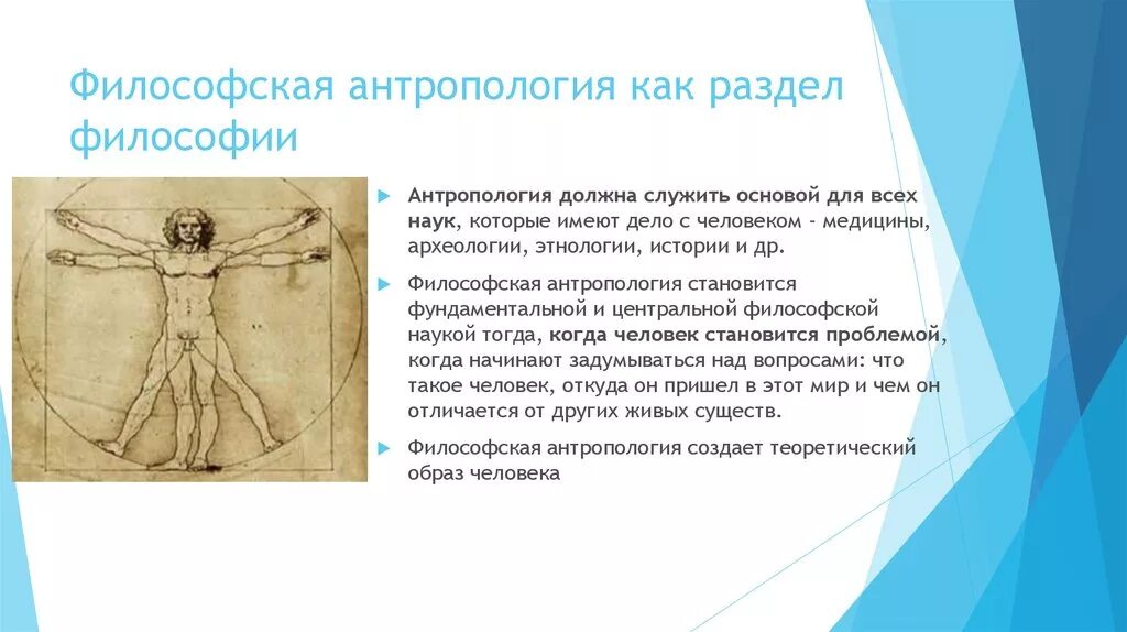 Философские категории антропологии. Философская антропология в философии это. Философская антропология разделы. Философская антропология разделы. Философская антропология определение.