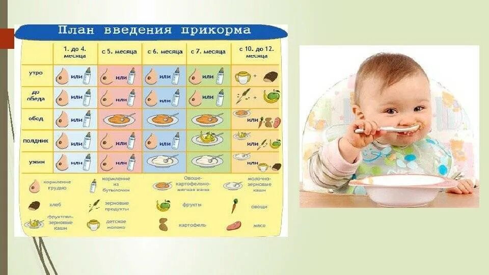 Когда можно рыбу ребенку. Схема введения прикорма для детей с 6 месяцев. План первого прикорма с 5 месяцев. Схема введения прикорма педиатрия. Педиатрическая схема ввода первого прикорма ребенка.