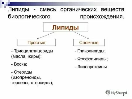 Липиды это органические вещества