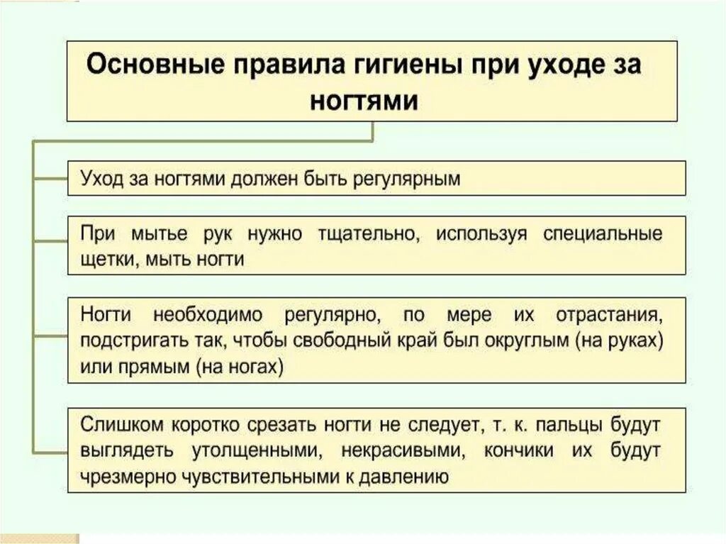 Уход за волосами биология 8. Правила ухода за кожей. Памятка правила ухода за кожей. Памятка по гигиене кожи волос ногтей. Правило ухода за ногтями и волосами.