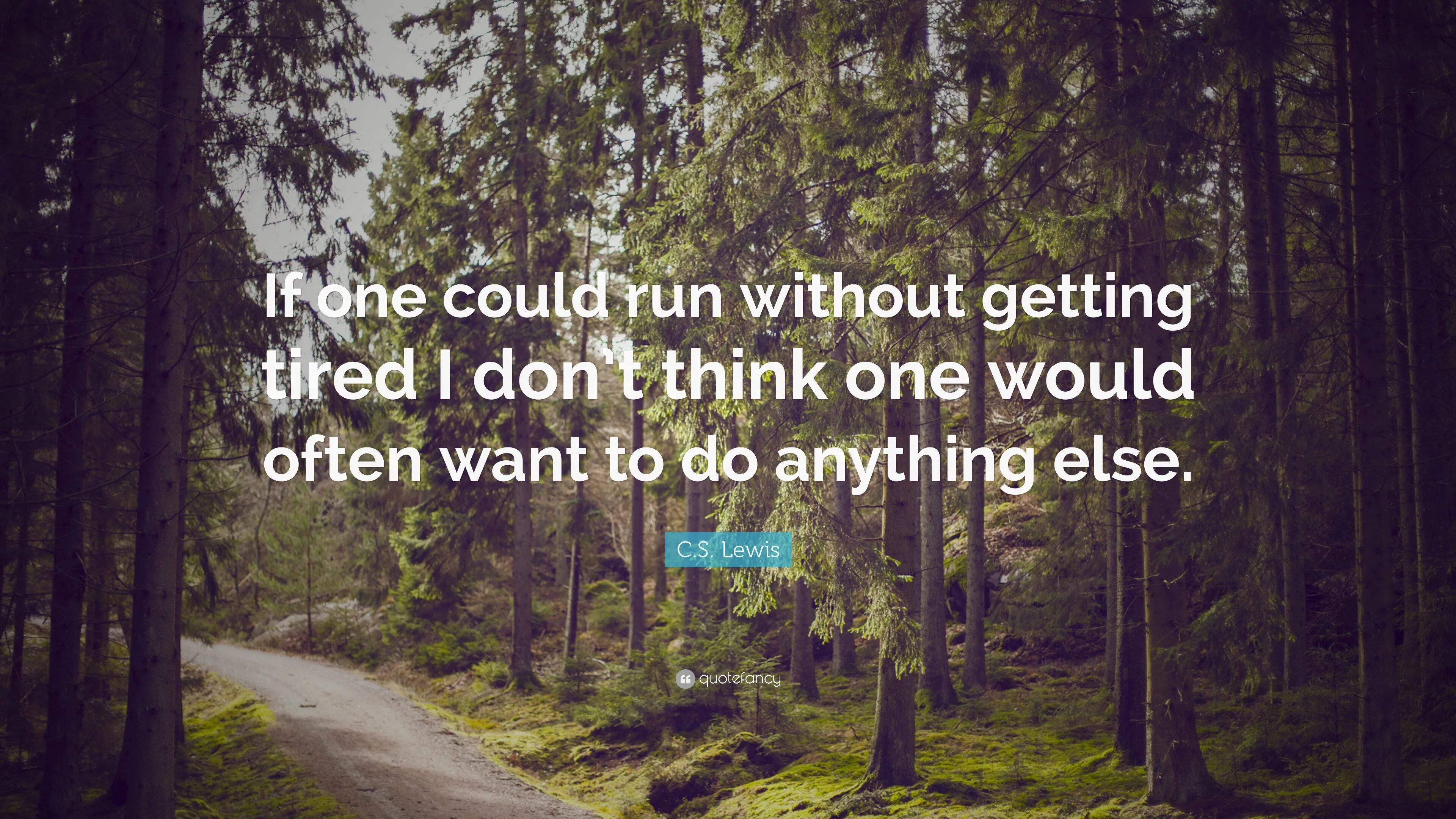 Think 1 hour. Not all who Wander are Lost обои. Look Deep into the nature and you will understand everything better. Lost are. The best time to Plant a Tree quote.