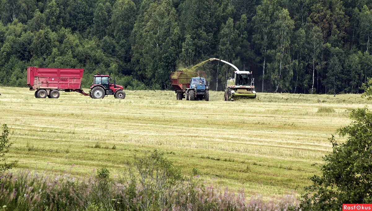 Уборка урожая. Полевые работы. Уборочная страда в деревне. Уборка урожая в деревне. Работа в деревни в россии