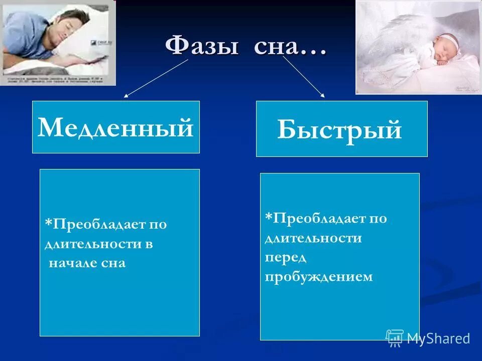 Как проснуться в быструю фазу