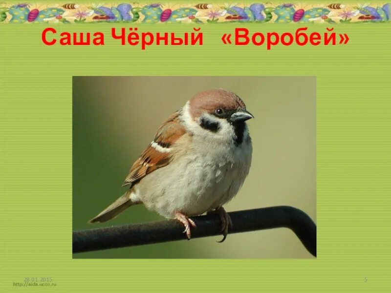 Стихотворение черного воробей. Стихотворение воробей саша черный. воробей саша черный текст. стих воробей саша чёрный. саша чёрный воробей 3 класс.