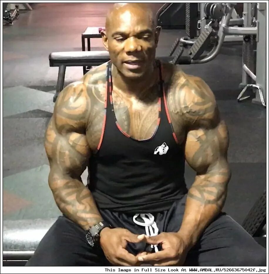 Лучший флекс. Флекс уиллер. флекс уиллер 1993. флекс уиллер сейчас. flex wheeler 2025.