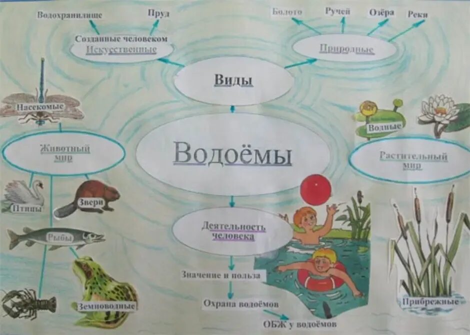 Водоемы окружающий мир. Схема природного водоёма. Обитатели озер и прудов. Схема природног водоёма. Водоем конспекты занятий