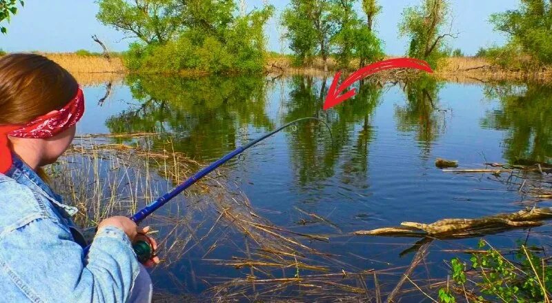 мальчик с удочкой. рыбалка с ле. девушка карась. на рыбалку с ле ютуб. рыбалка.