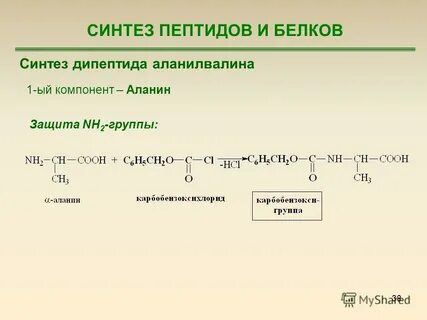 Синтез пептидов