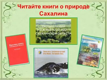 Читать сахалин