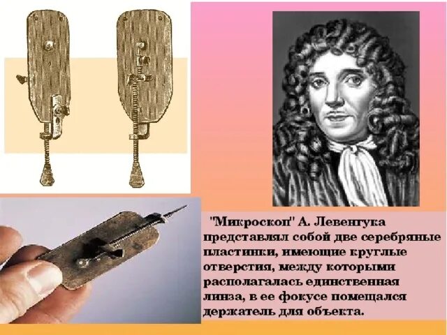 Антони ван левенгук (1632-1723) рисунки. Антони ван левенгук изобрел микроскоп. Антони ван левенгук. Левенгук 1676. Антони ван левенгук изобрел.