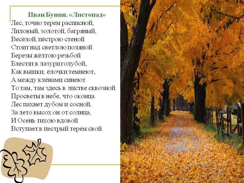 Бунин листопад отзыв. Иван алексеевич бунин листопад. иван бунин листопад стихотворение. бунин иван алексеевич лес точно терем расписной. стих ивана алексеевича бунина листопад.