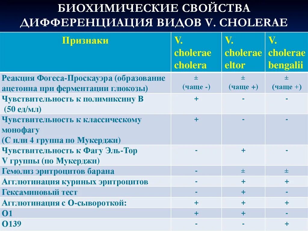 Дифференциация характеристика. Свойства дифференциации. Виды микобактерий и их дифференциация. Биохимические свойства Vibrio cholerae. Дифференциация свойства