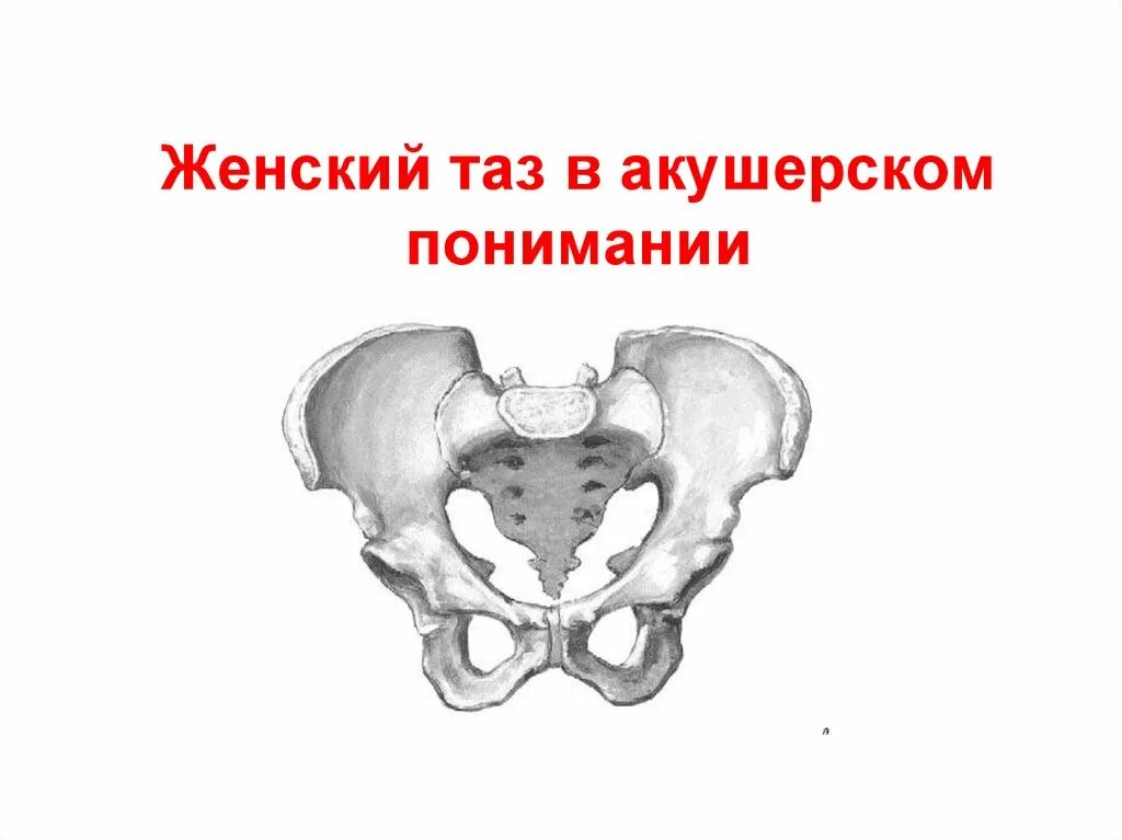 Таз 15л овальный 05601. Таз квадратный пластиковый строительный. Таз 23 25 28 18. Милих пластик. Раскраска тазик.