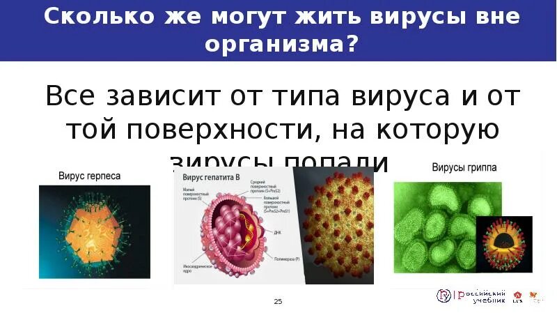 Вирус вне организма. Условия жизни вирусов. Срок жизни вируса. Сколько живет вирус гепатита