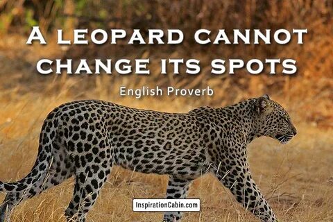 Cant change