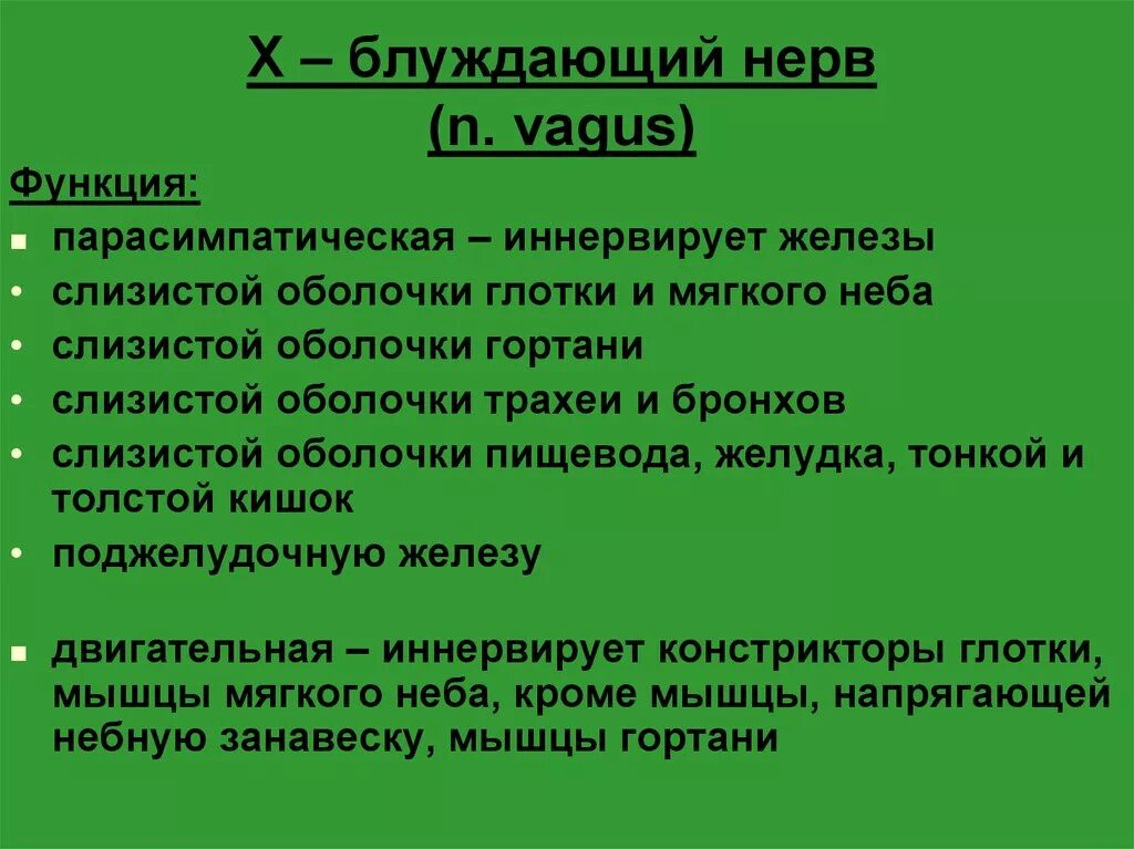 Блуждающий нерв функции. Блуждающийинерв функции. Функции блуждающего нерва. Блуждающий нерв нерв функции.