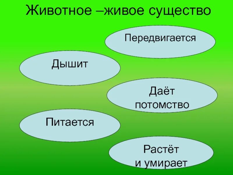 Животные живые существа. Животное живое существо. Окружающий мир живые существа. Животные живые существа организмы. Живые существа тест