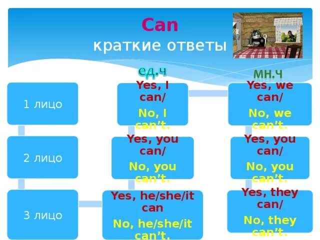 Модальный глагол can таблица. Can краткие ответы. Модальный глагол can/can t. Can could правило. Can l use