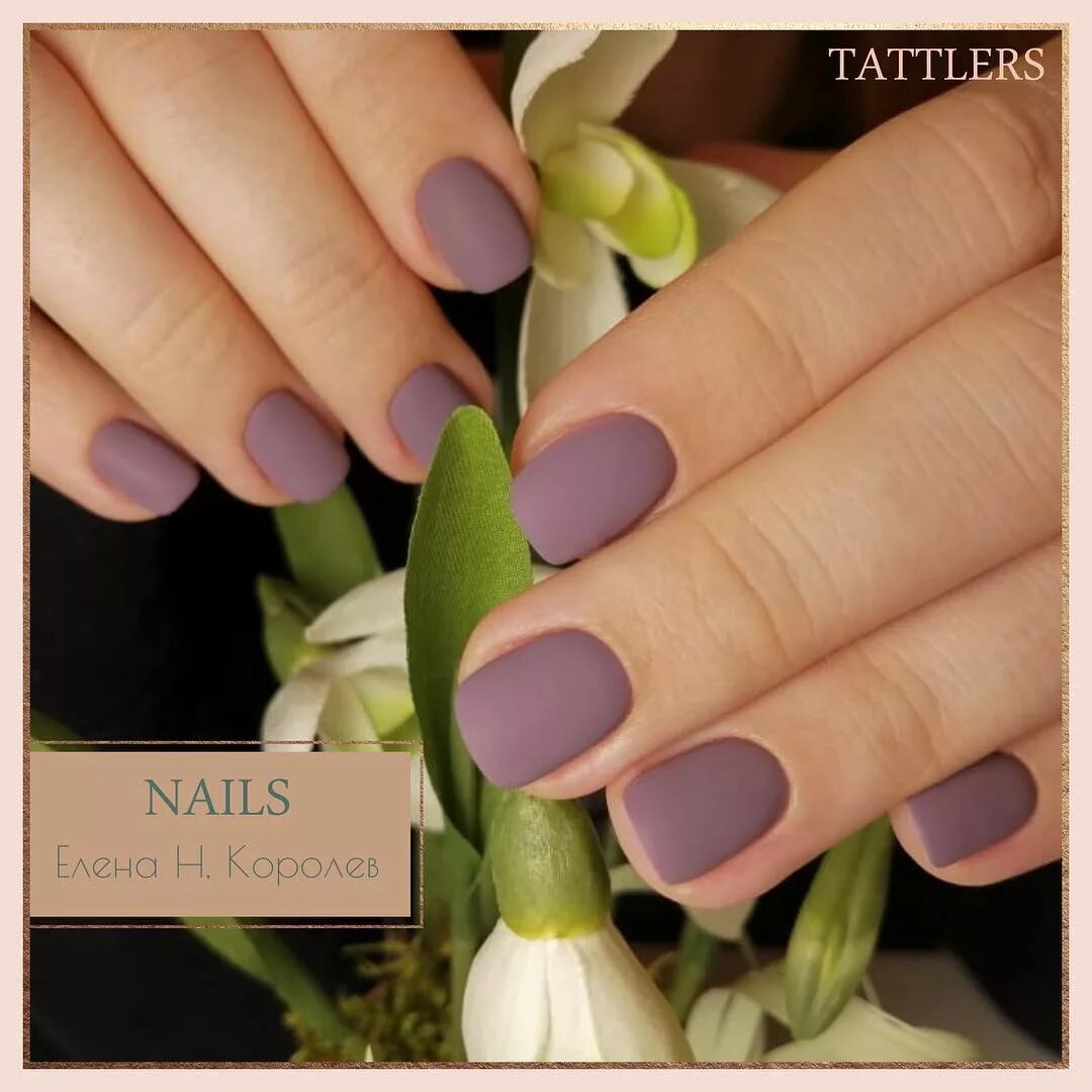 таттлерс королев. таттлерс королев. улица 50-летия влксм, 5/16. татлерс королев салон. королев салон маникюрный таттлерс карта фото.