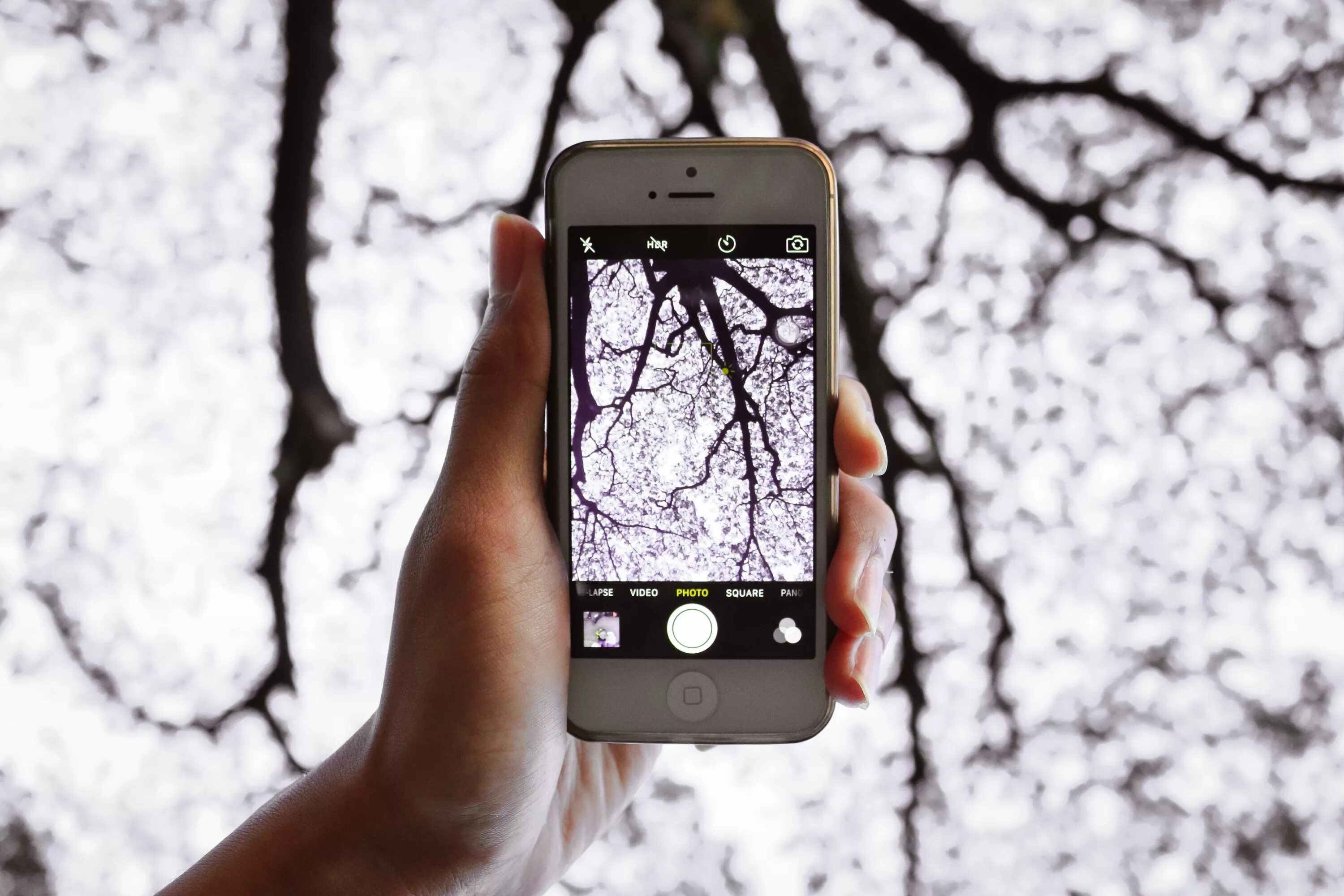 Смартфон через. Фотографирование на айфон. Природа на смартфон. Фотографируем природу на смартфон. Съёмка с руки смартфоном