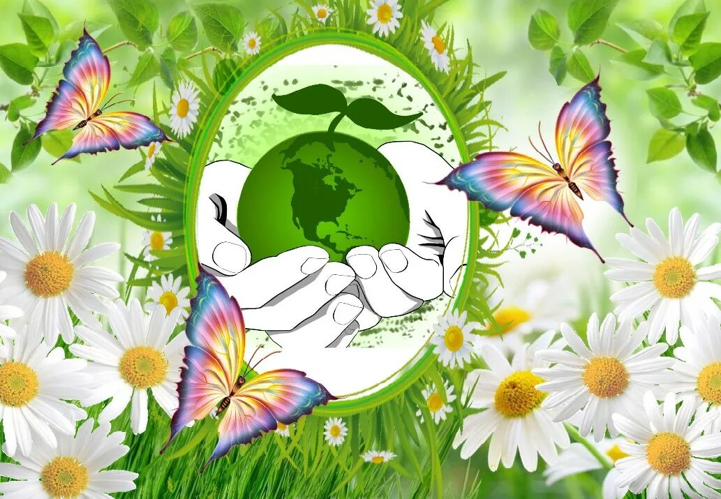 рисование на тему русская березка средняя. творческое рисование. «экологическое воспитани это. изо нетрадиционные техники рисования. изобразительное искусство в экологическом воспитании.