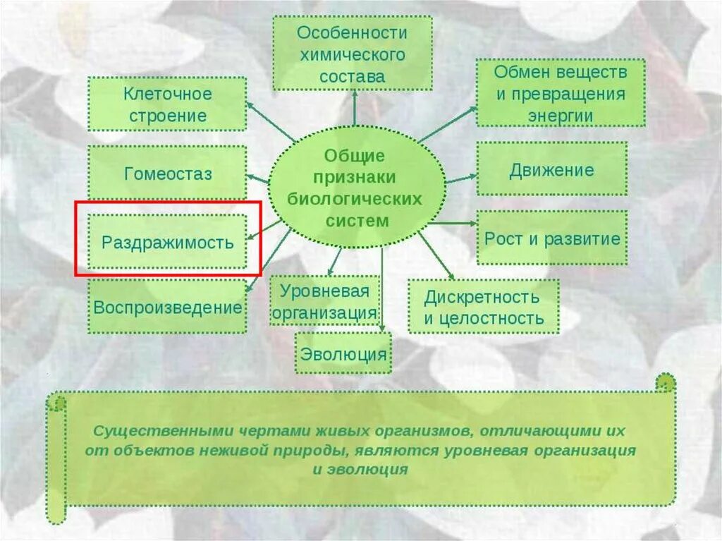 Перечислить биологические системы. Признаки биологических объектов. Признаки биологических систем. Признаки живого биологических объектов. Общие признаки биологических систем.