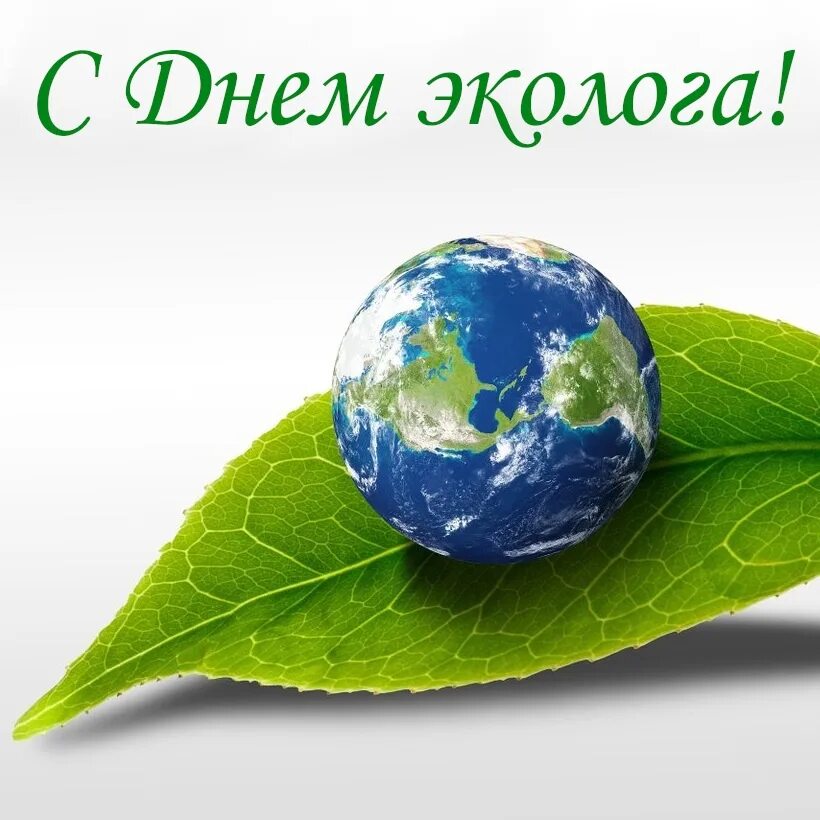 День эколога. Поздравление с днем эколога. Поздравления с днём эколога открытки. Защита окружающей среды. Праздник эколога