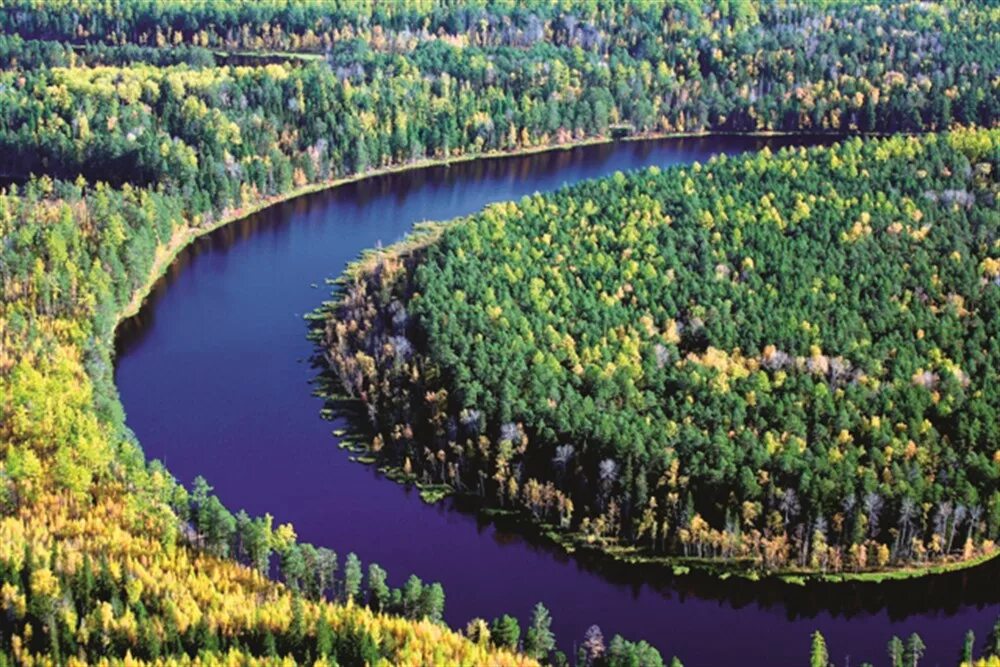 томск томская область администрация. лесной фонд томской области. природа томской области. природа города томска. пейзажи томской области.