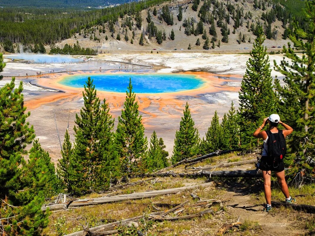 Йеллоустоун штат. Национальный парк Йеллоустоун. Национальный парк Yellowstone США. Монтана Йеллоустоун. Гора Гарнет в Йеллоустонском парке.