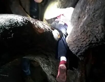 Что делать если застрял на дереве