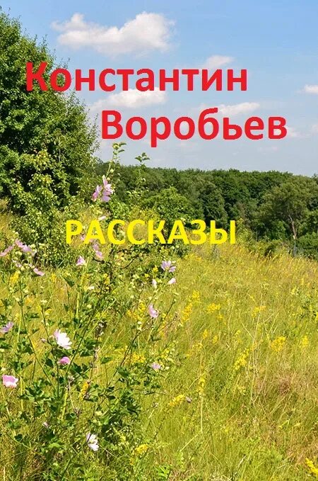 Воробьев рассказы читать. Рассказ Настя Воробьев.